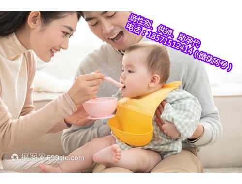 杭州代怀男宝宝服务:肾ect是什么检查
