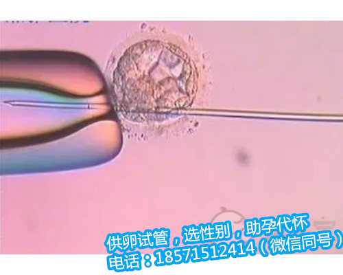 杭州找个助孕多少,卵巢功能早衰怎么治