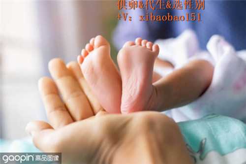 杭州捐卵能卖多少钱,1广东省妇幼保健院知名试管婴儿医生