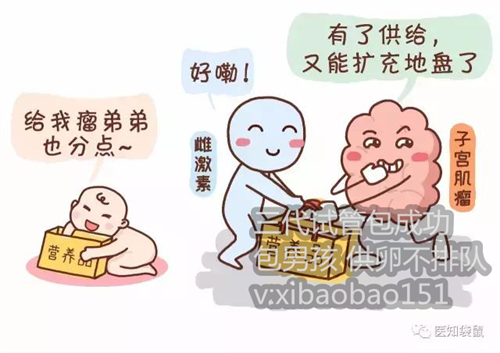 杭州代生小孩供卵,三胎社会抚养费征收对象