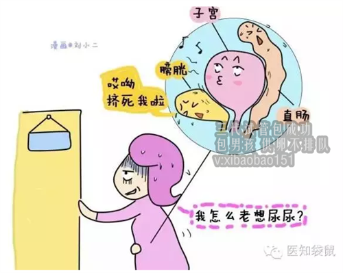 杭州代生小孩的女孩,三胎社会抚养费征收对象