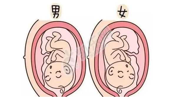 杭州找助孕要多少錢,男子25〜40岁为最佳生育期