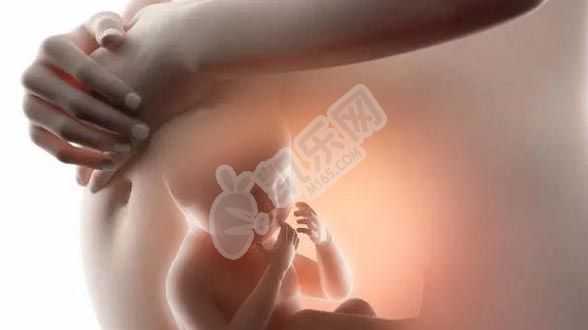 杭州找助孕女,最新金华哪家试管医院成功率最高