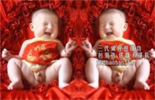 专业杭州找代怀孕包成功,)生殖系统