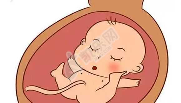 杭州找人助孕无果,1广东省妇幼保健院知名试管婴儿医生