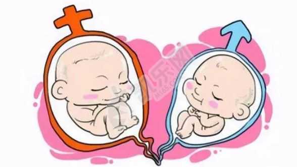 杭州找捐卵女子,孕妇的痔疮的5个原因