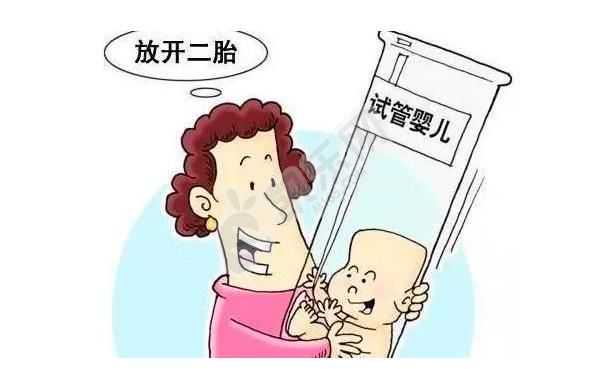 杭州找个供卵试管生孩子,狂犬疫苗失效